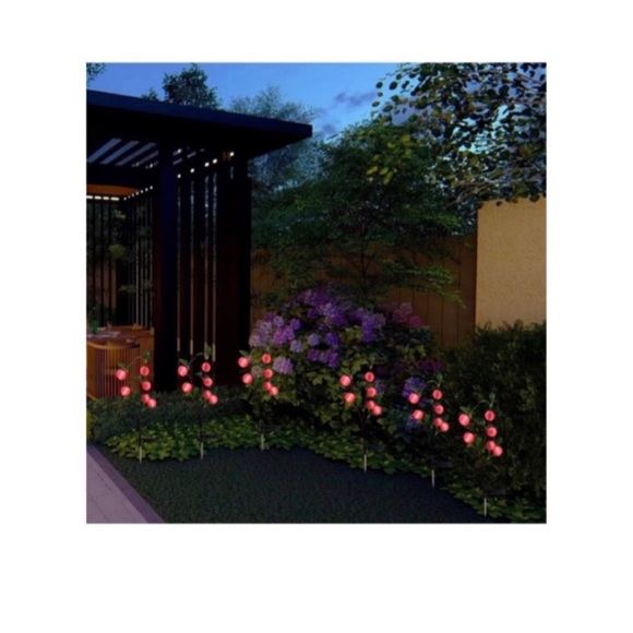 Solar LED Lights - Picture 4 of 8